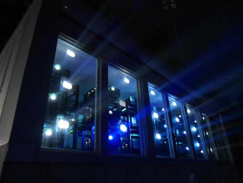 shared-image-_1_.jpg